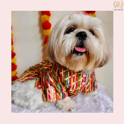Multicolor Gota Dog Kurta - Premium Indian Dog Ethnic Wear