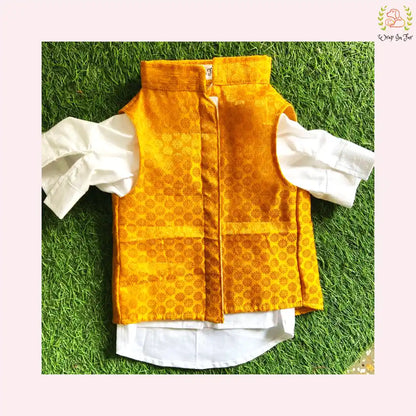 Mustard Yellow Jacket Dog Kurta Set - Premium Indian Dog Ethnic Wear