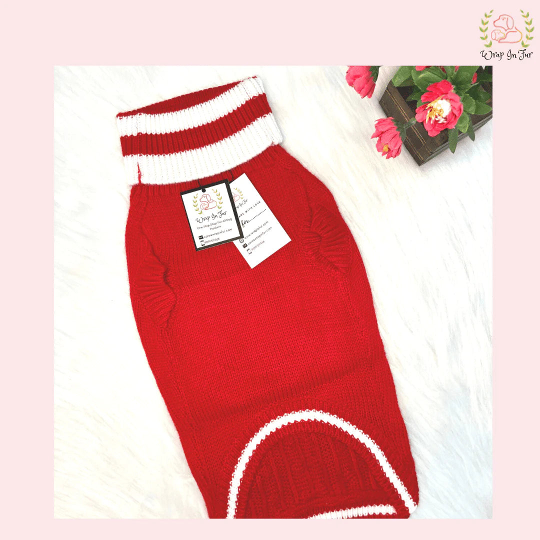 Orange Glow Dog Sweater – Warm & Cozy Solid Knit