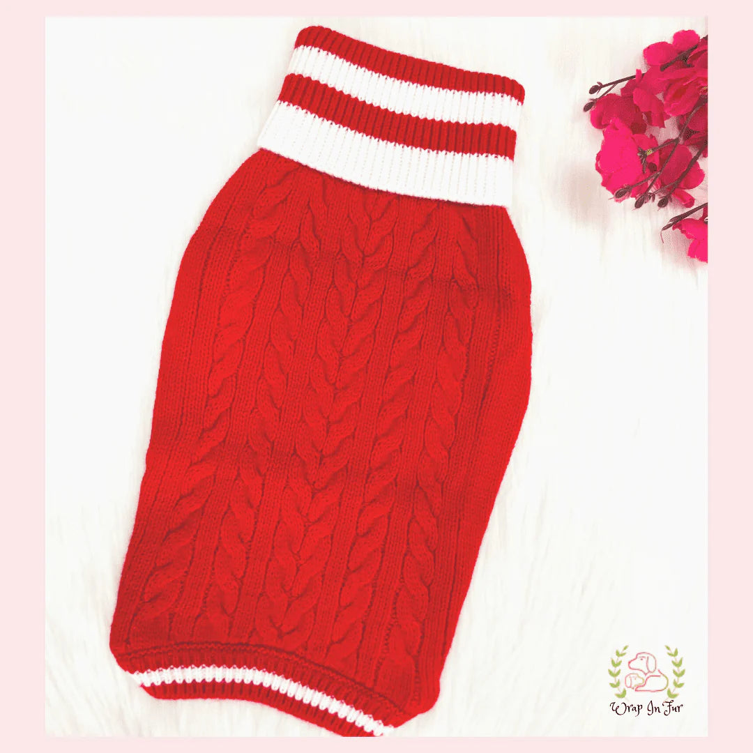 Orange Glow Dog Sweater – Warm & Cozy Solid Knit