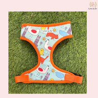 Orange Reversible Dog Harness