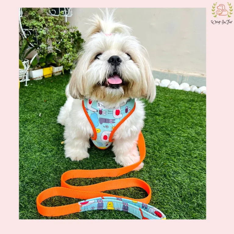 Orange Reversible Dog Harness