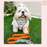 wrapinfur harness