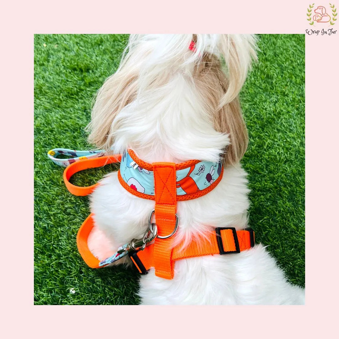 Orange Reversible Dog Harness