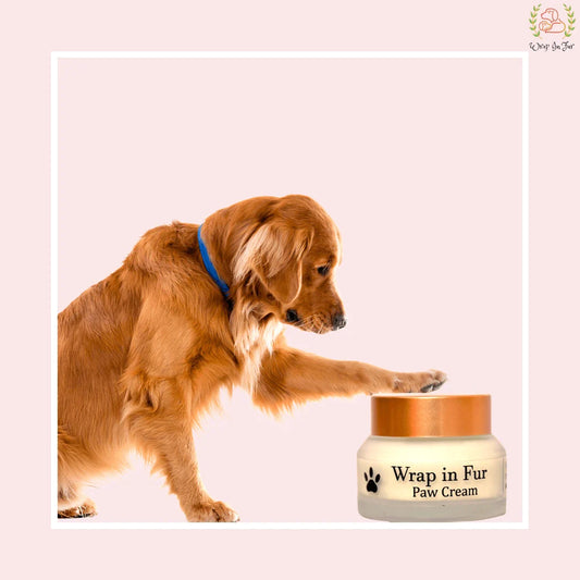 Paw Cream (50gm)