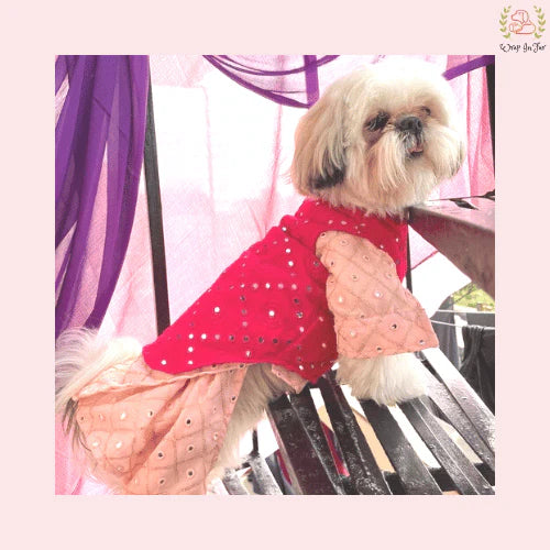 Peach Pink & Red Mirror Work Dog Kurta Set - Indian Dog Ethnic Wear