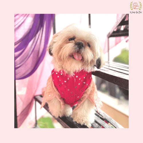 Peach Pink & Red Mirror Work Dog Kurta Set - Indian Dog Ethnic Wear