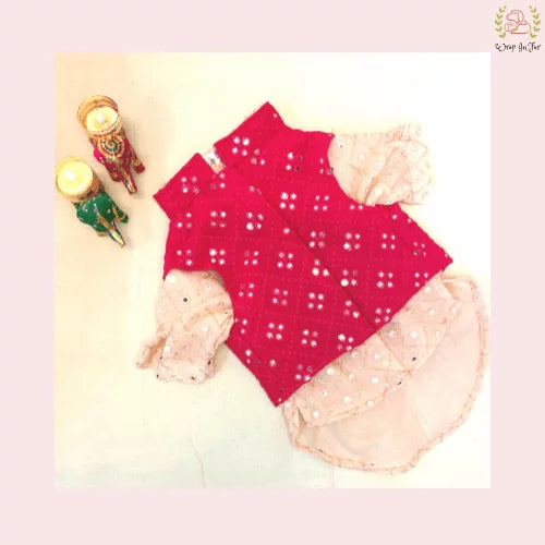 Peach Pink & Red Mirror Work Dog Kurta Set - Indian Dog Ethnic Wear
