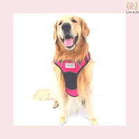 pink black dog harness