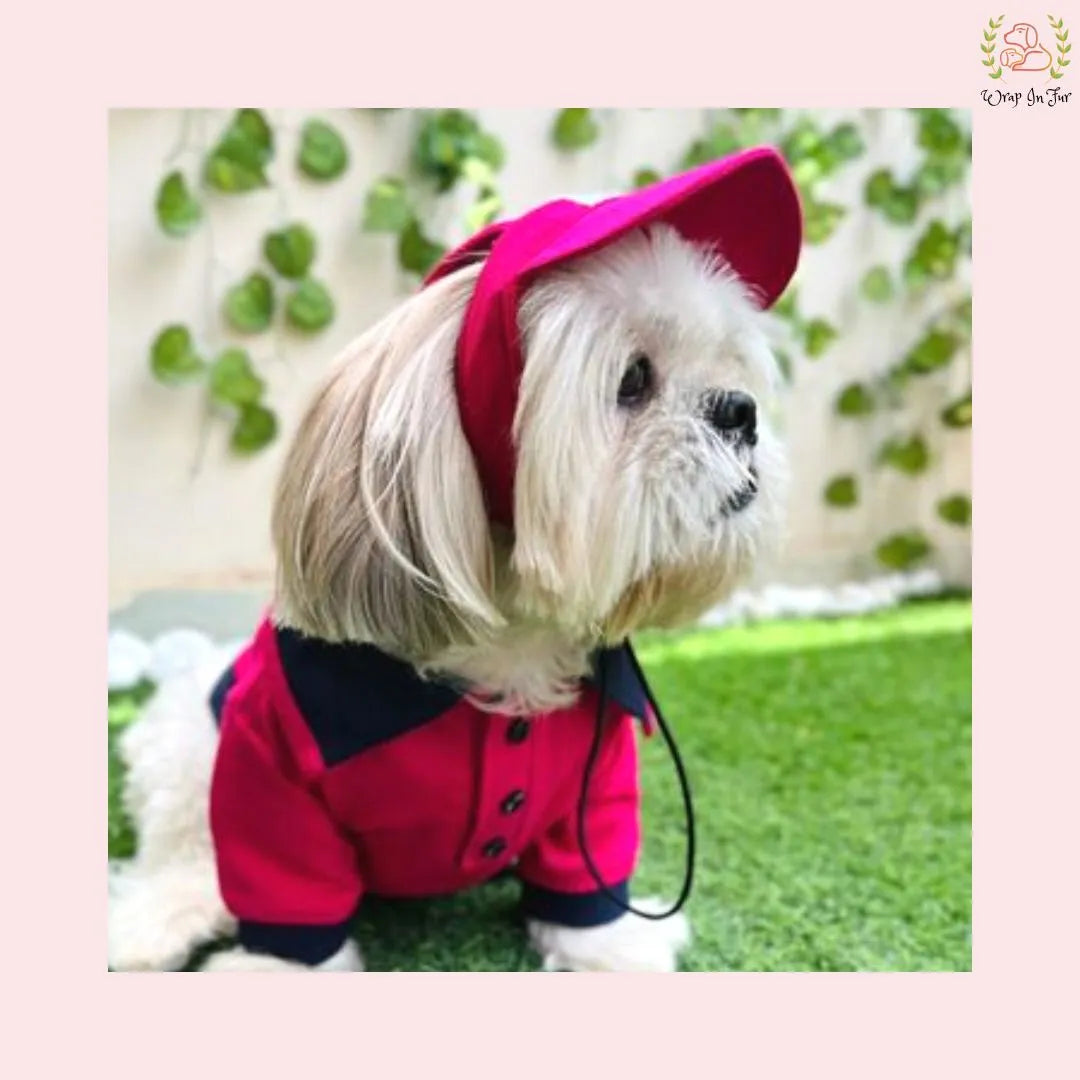 pink dog cap shihtzu