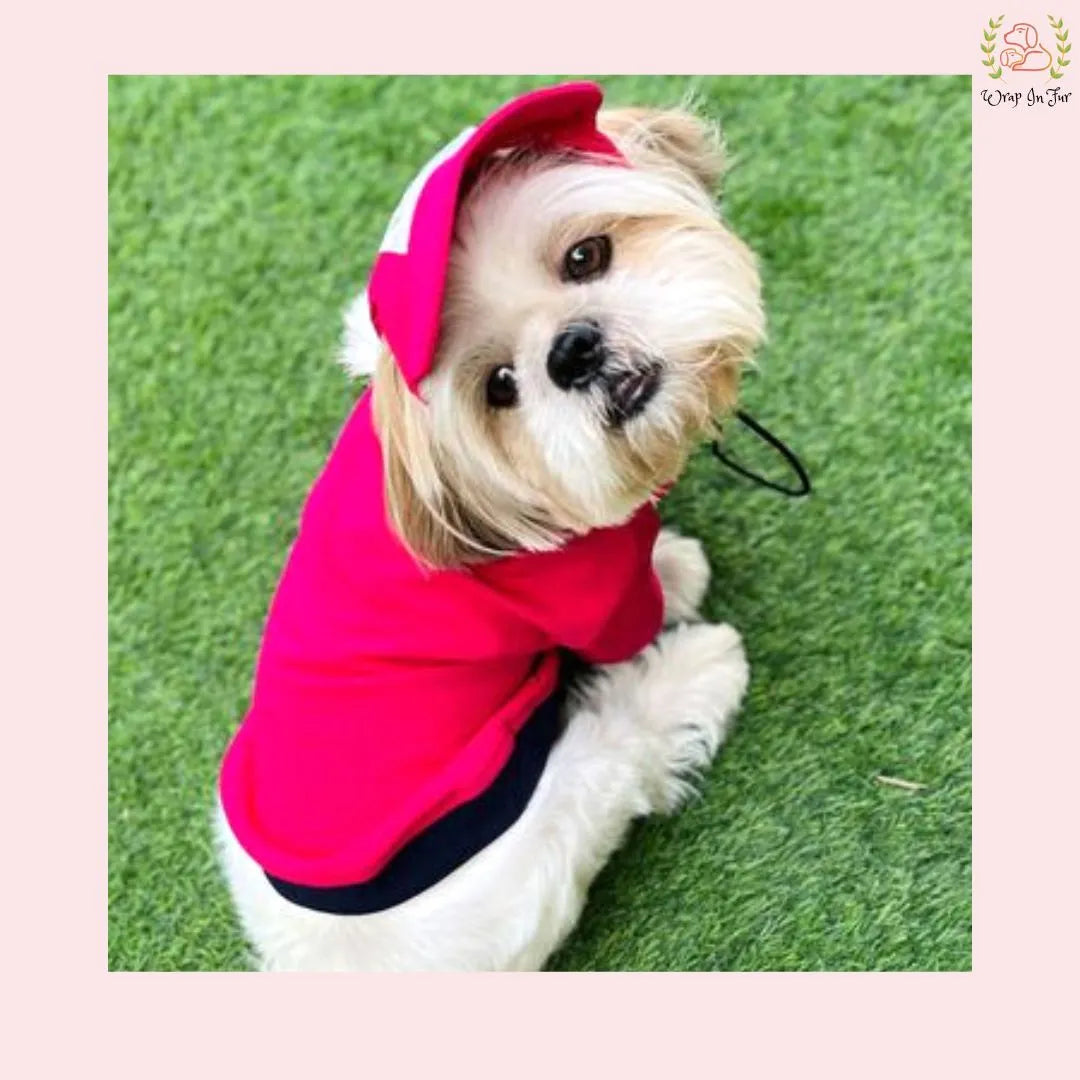 shihtzu pink dog cap