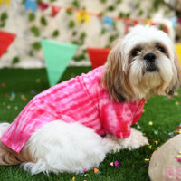 Pink Tie-Dye Dog Kurta - Vibrant Hand-Dyed Indian Dog Ethnic Wear