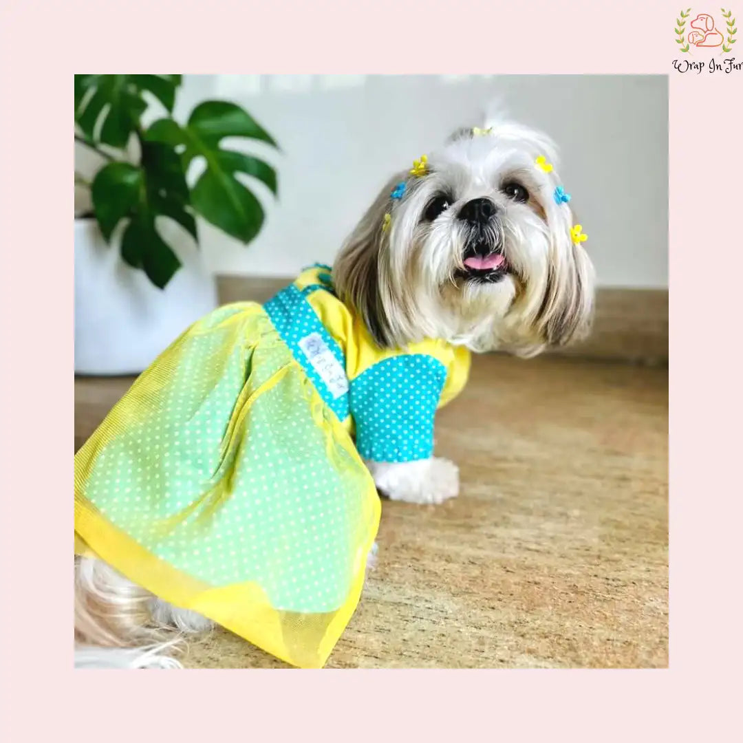 Polka Dot Dog Wedding Gown – Colorful Princess Dress