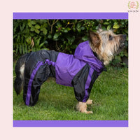 Purple Black Dog Raincoat