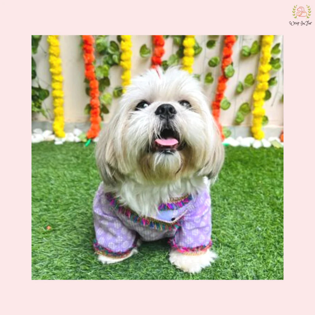 Purple & White Block Print Dog Angarkha Kurta - Indian Dog Ethnic Wear