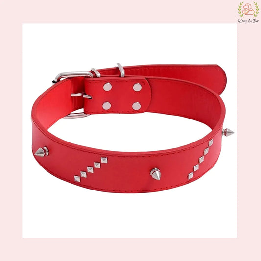 Red Collar (Medium & Large)