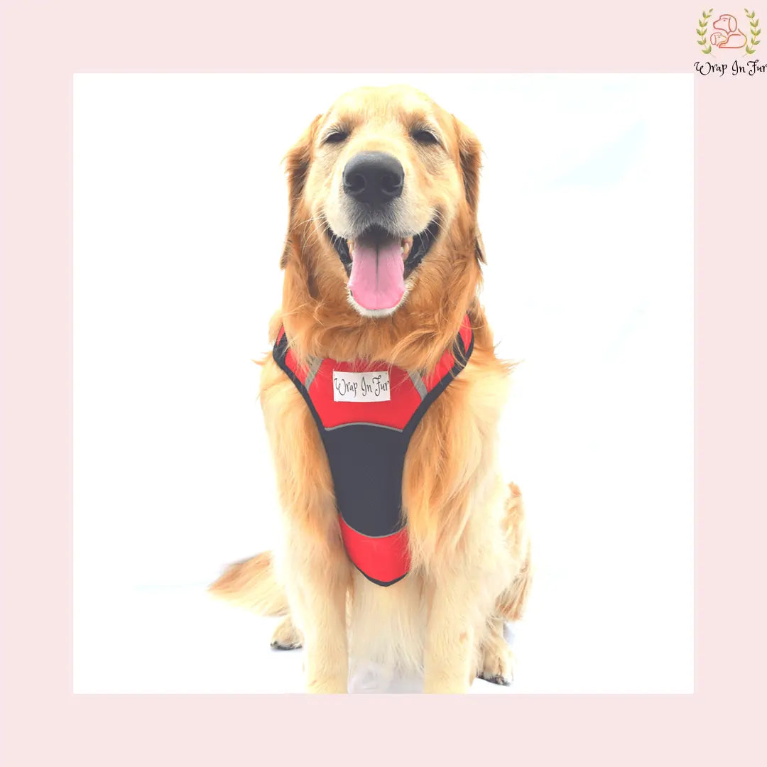 Red Black Double Sided Dog Harness