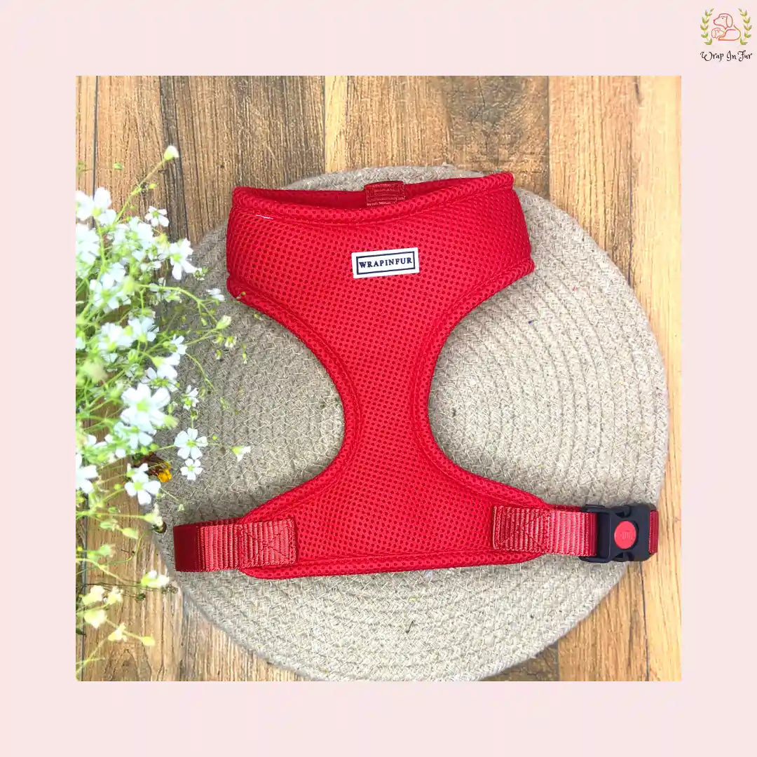 red dog harness