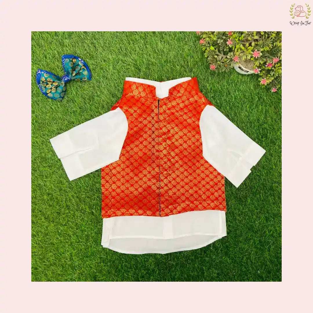Red & Gold Brocade Dog Kurta Jacket Set - Premium Dog Ethnic Wear