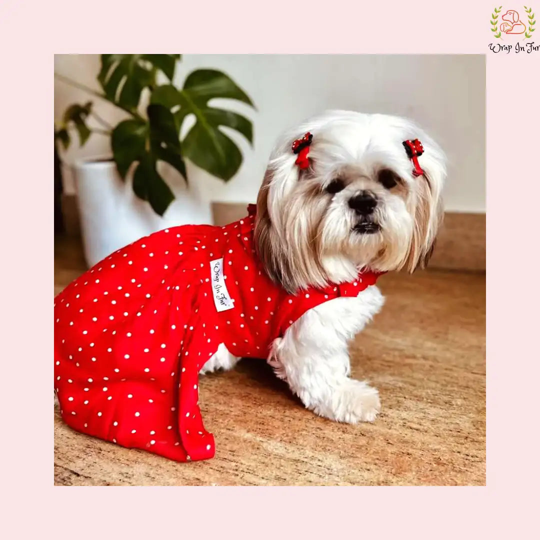 Red Polka Dot Dog Princess Dress - Casual Ruffle Sun Frock