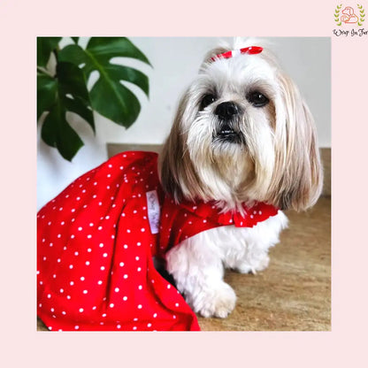 Red Polka Dot Dog Princess Dress - Casual Ruffle Sun Frock