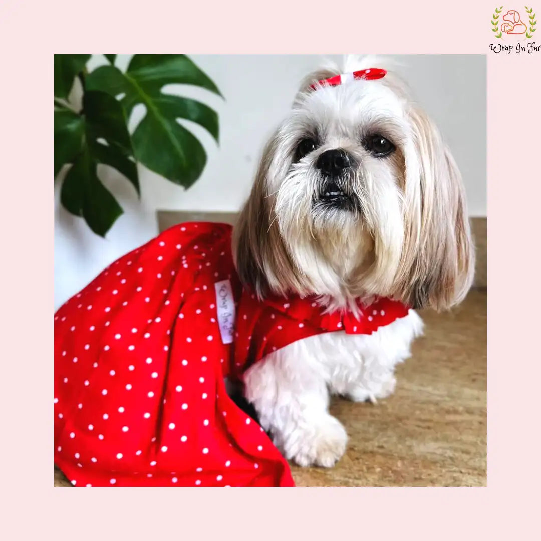red polka pet party outfit frock for small dog