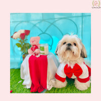 Red Sailor Dog Dress