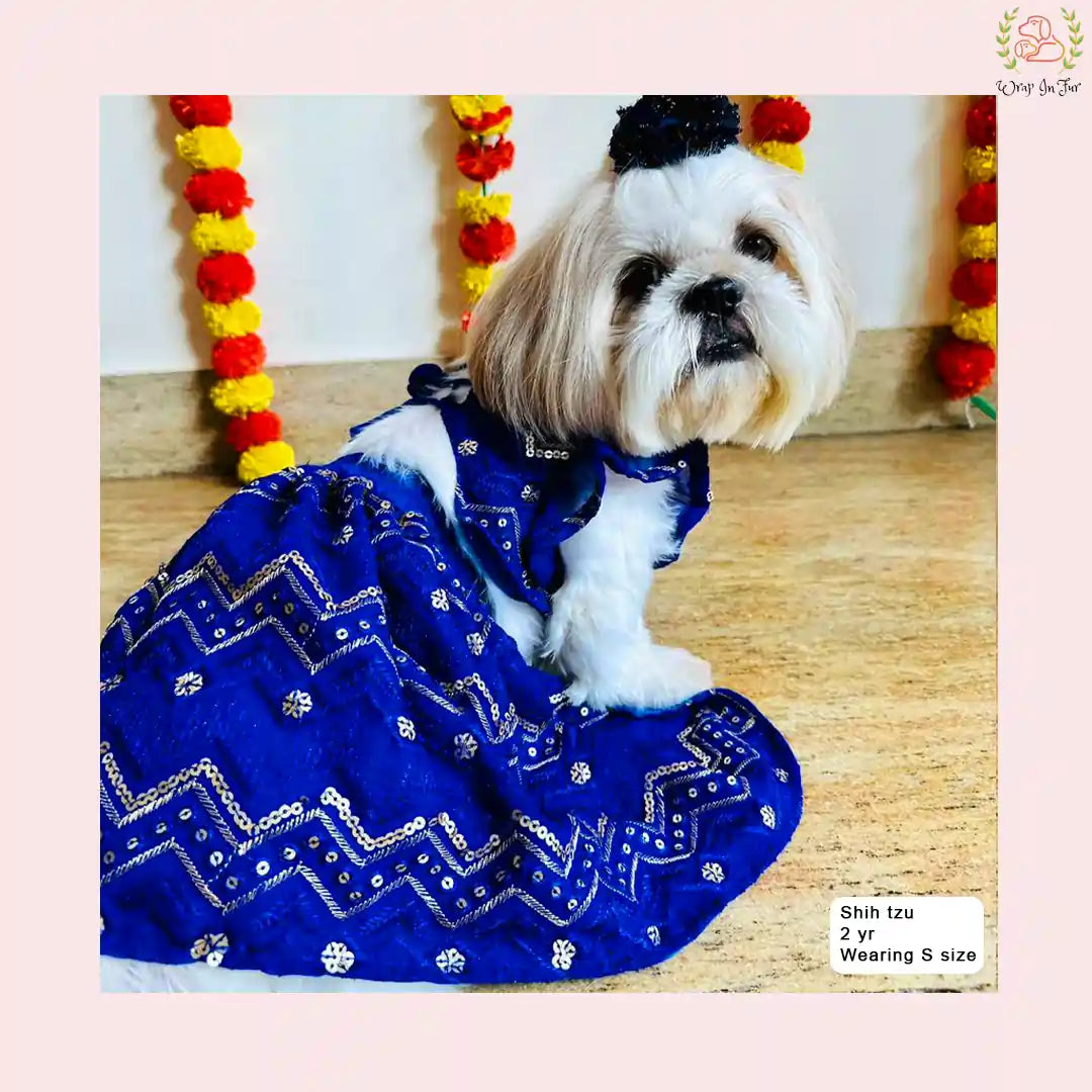 Royal Blue Dog Wedding Dress – Ethnic Lehenga Choli for Dogs
