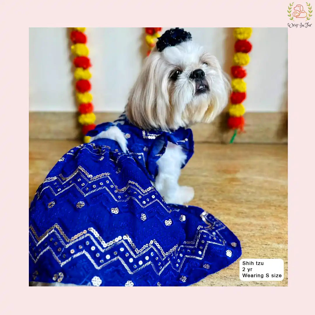 Royal Blue Dog Wedding Dress – Ethnic Lehenga Choli for Dogs