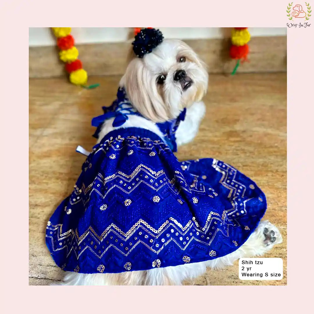 Royal Blue Dog Wedding Dress – Ethnic Lehenga Choli for Dogs