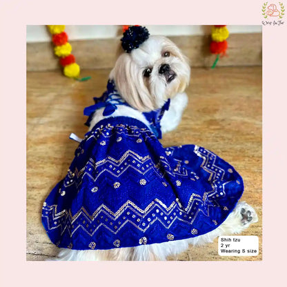 Royal Blue Dog Wedding Dress – Ethnic Lehenga Choli for Dogs