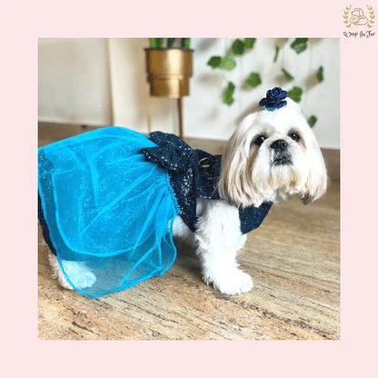 Royal Blue Dog Wedding Dress – Sparkle Bridal Gown for Dogs