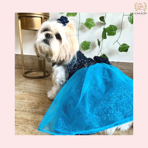 Royal Blue Dog Wedding Dress | Sparkle Bridal Gown for Dogs XS Royal Blue Dog Wedding Dress | Sparkle Bridal Gown for Dogs XS