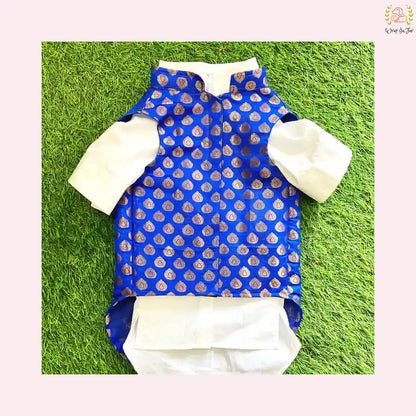 Royal Blue & Gold Brocade Dog Kurta Jacket Set - Indian Dog Ethnic Wear
