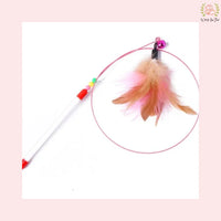 Spring Feather Stick