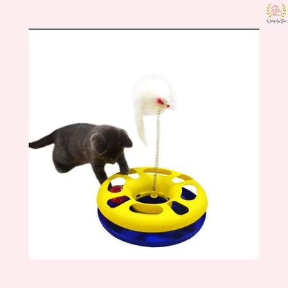 Catch The Mouse Motion Toy