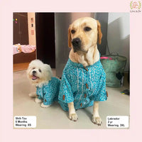 Teal Blue Gota Dog Kurta - Premium Indian Dog Ethnic Wear