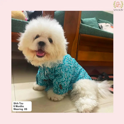 Teal Blue Gota Dog Kurta - Premium Indian Dog Ethnic Wear