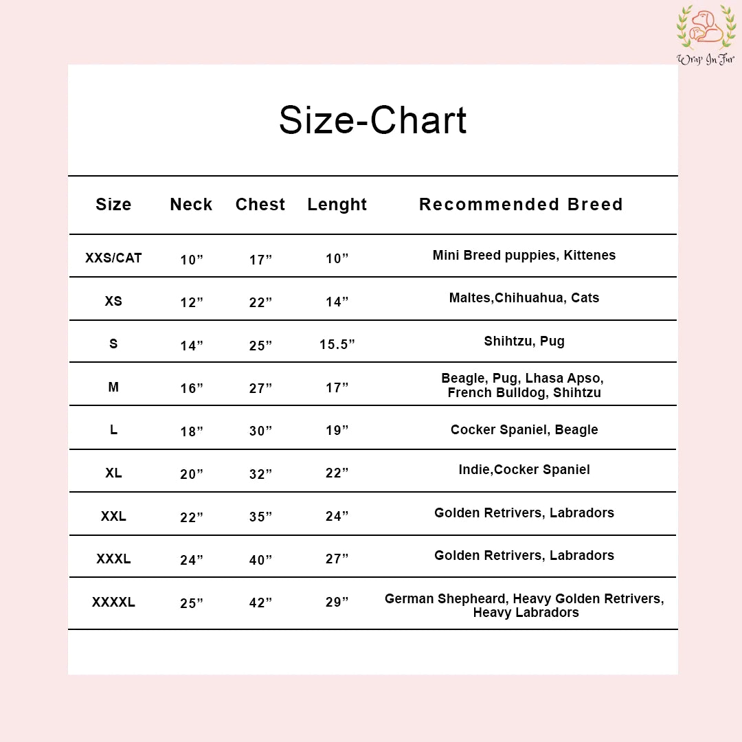 Teal Blue Gota Dog Kurta - Premium Indian Dog Ethnic Wear