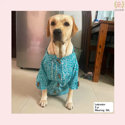 Teal Blue Gota Dog Kurta - Premium Indian Dog Ethnic Wear