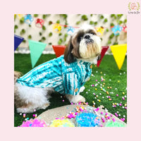 Turquoise Tie Dye Dog Kurta - Modern Indian Pet Ethnic Wear