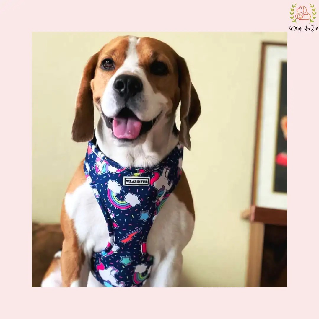 Unicorn Reversible Dog Harness 