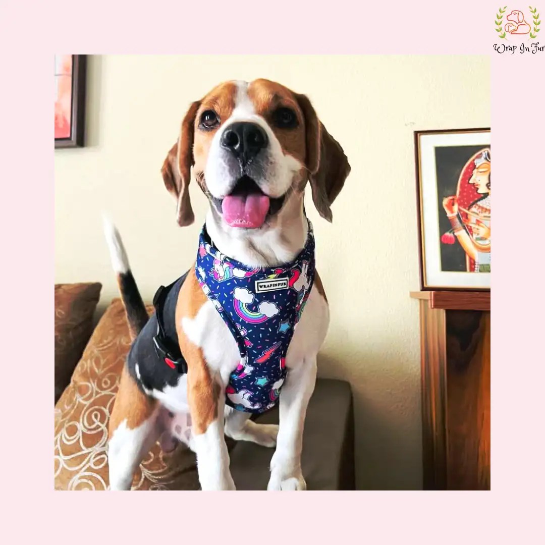 Unicorn Reversible Dog Harness for Puppies & Small Dogs