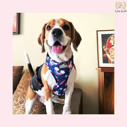 Unicorn Reversible Dog Harness for Puppies & Small Dogs
