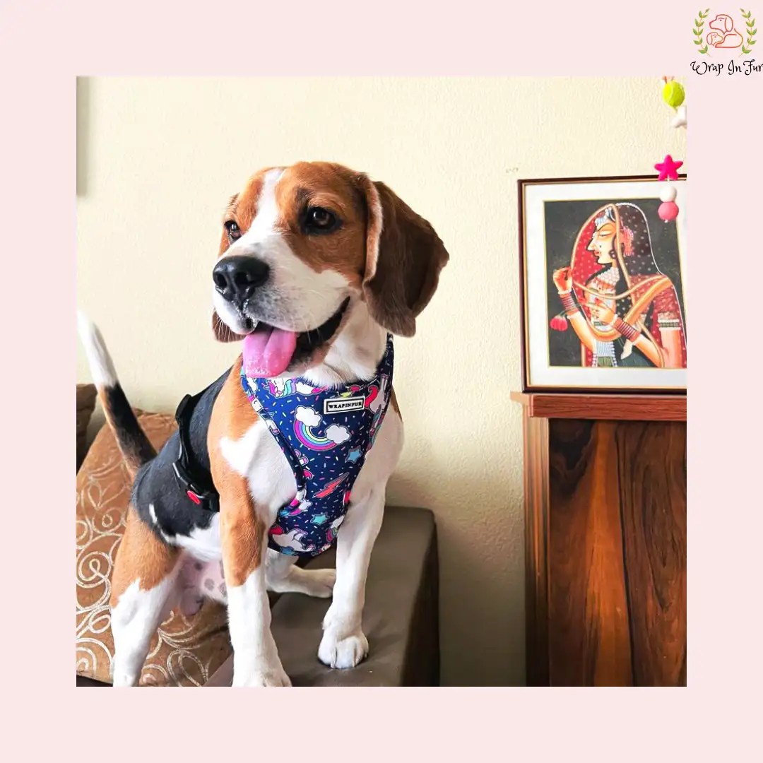 Unicorn Reversible Dog Harness Small Dogs