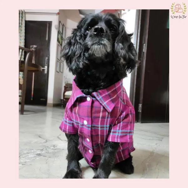 Winter Woolen Checkered Dog Shirt – Warm, Stylish & Premium Fit
