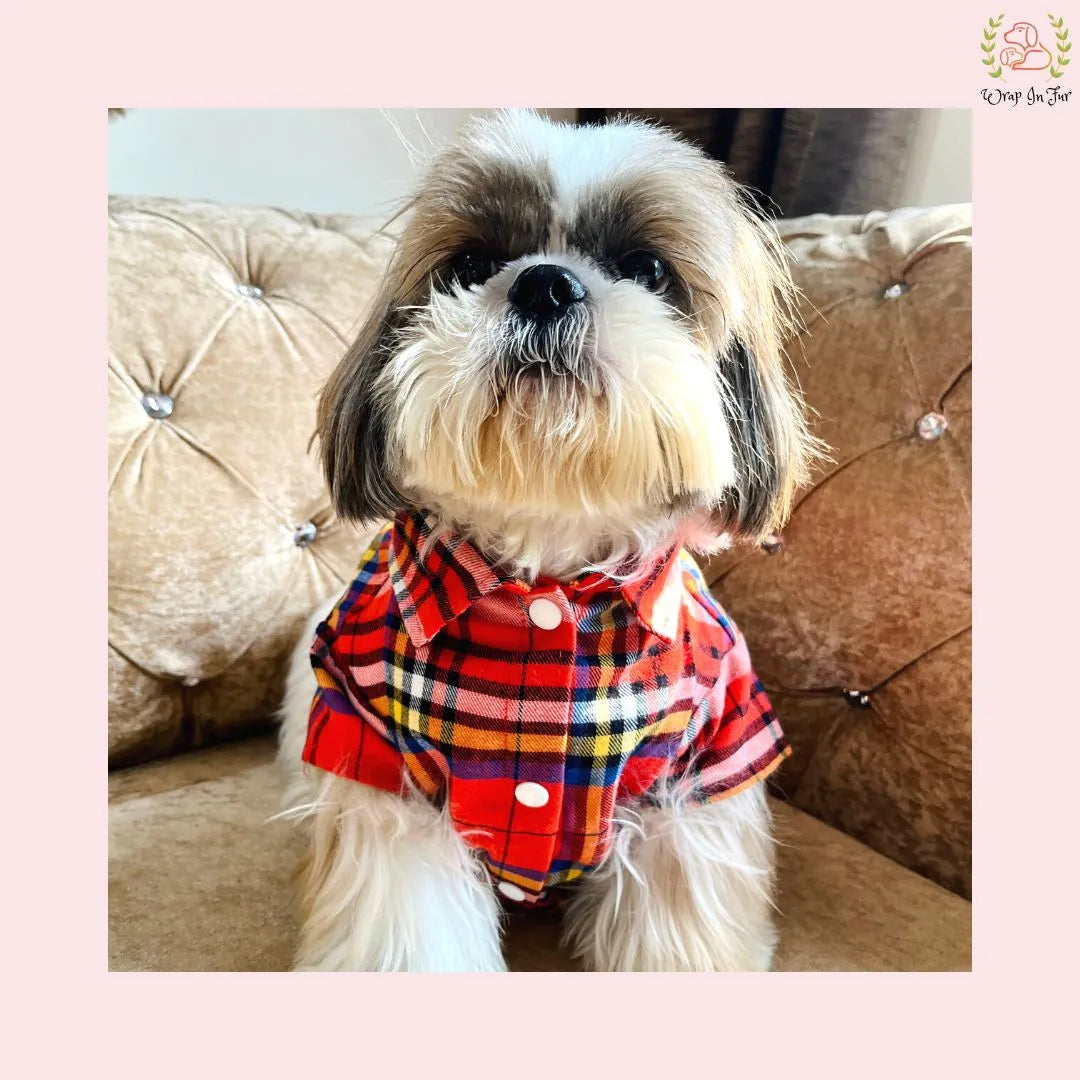 Winter Woolen Checkered Dog Shirt – Warm, Stylish & Premium Fit