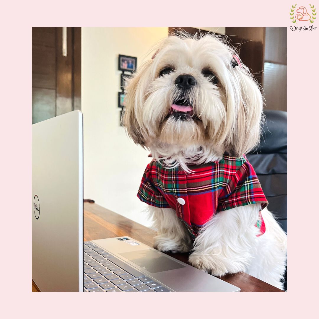 Winter Woolen Checkered Dog Shirt – Warm, Stylish & Premium Fit