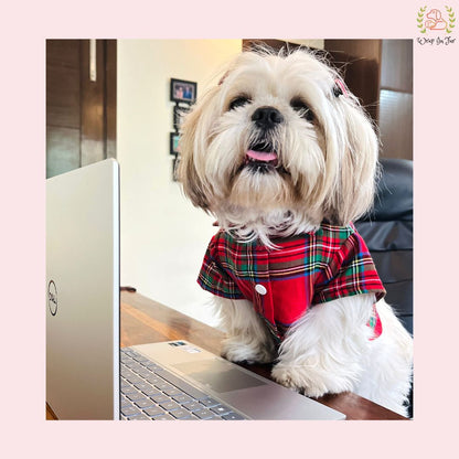 Winter Woolen Checkered Dog Shirt – Warm, Stylish & Premium Fit