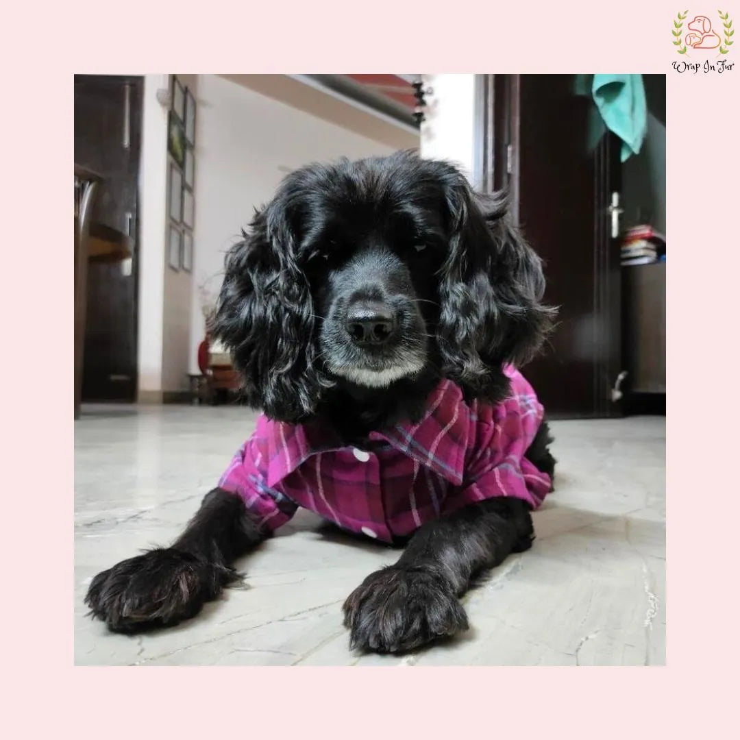 Winter Woolen Checkered Dog Shirt – Warm, Stylish & Premium Fit